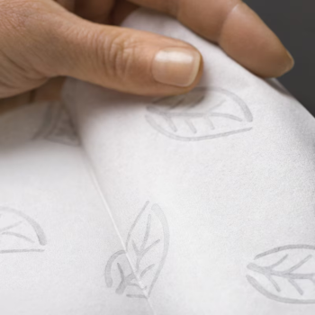 Preview: Tork Papierhandtuchrollen H1 Premium 2-lagig weiß Zellstoff Rolle