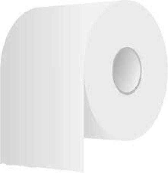 Toilettenpapier Kleinrollen, 3-lagig, Zellstoff, weiss